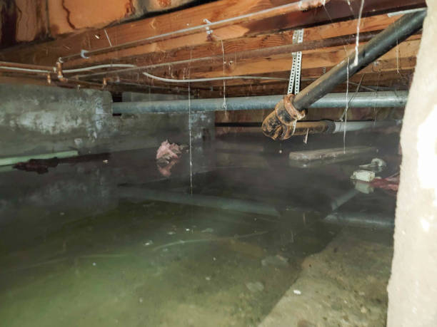 Best 24/7 water damage repair  in Panorama Village, TX