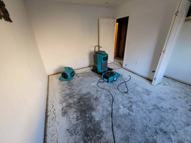 Best Fire Damage Restoration  in Panorama Village, TX