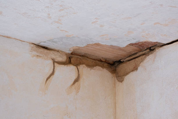 Best 24-hour water damage restoration  in Panorama Village, TX