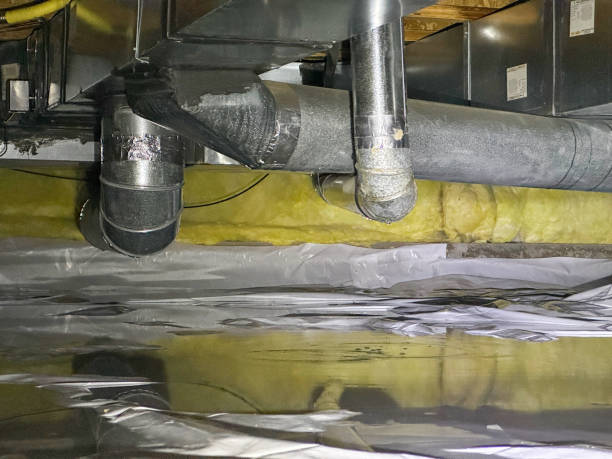 Best Basement water damage restoration  in Panorama Village, TX