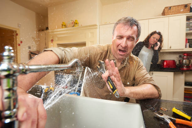 Best Mold removal after water damage  in Panorama Village, TX
